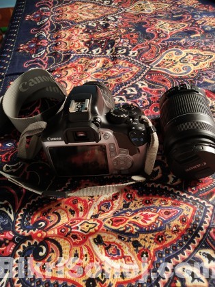 Canon 1300d